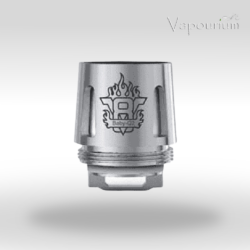 Alternative view of V8 Baby Beast Coil